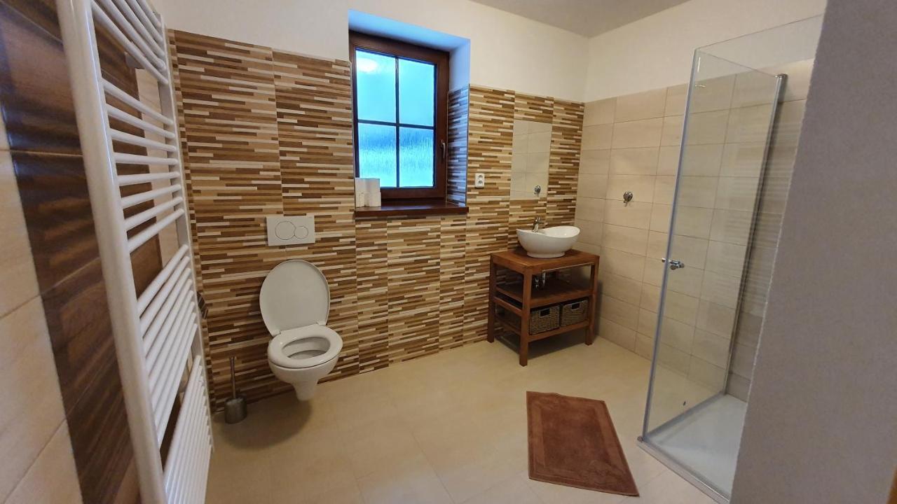 Anna Apartment Dolni Morava